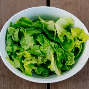 Salad rau xanh