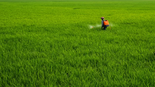 Máy phun thuốc AP 3
